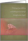 Raindrops on Autumn Leaf Sympathy card
