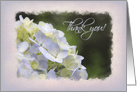 Hydrangea Thank You card