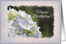 Hydrangea Birthday card