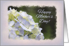 Hydrangea Mother’s Day for Mom card