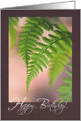 Beautiful Ferns Touching - General Birthday card