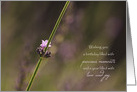 Blossoming Lavender - Precious Moments Birthday Wishes card