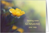 Buttercup - Sending Sunshine Your Way card