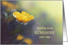 Buttercup - Sending Sunshine Your Way card