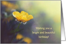 Buttercup in Sunshine - Bright and Beautiful Birthday card