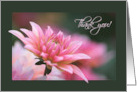 Pink Dahlia Hospital Volunteer Thank You card