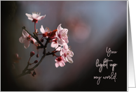 You Light Up My World Cherry Blossoms Valentine’s Day card
