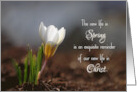 New Life in Christ Spring Flower Easter card