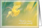 Cancer Flower Daffodil Sympathy card