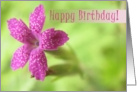 Cheery Flower Happy Birthday card