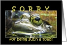 Toad Apology Card