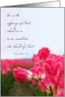 Pink Tulip - Encouragement Card