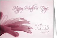 Happy Mother’s Day - Pink-tinted Gerbera Daisy Card