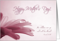 Happy Mother's Day -...