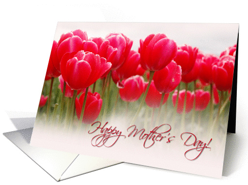 Happy Mother's Day - Tulips card (1047049)