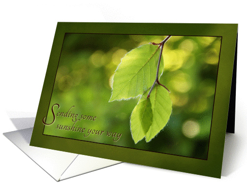 Sending Some Sunshine - Get Well card (1149020)