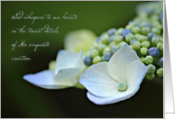God Whispers to Our Hearts - Blue Hydrangea Note card