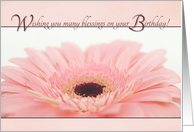 Birthday Blessings -...