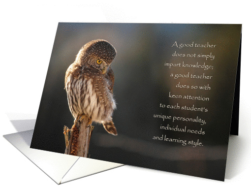 Teacher Thank You Card - Owl in Nature card (1358364)