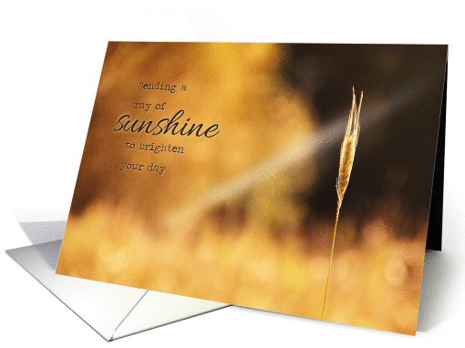 Ray of Sunshine - Thinking of You card (1386840)