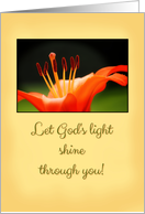 Orange Lily - Baptism Card