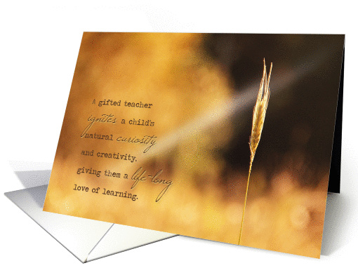 Teacher Thank You card (1431462)