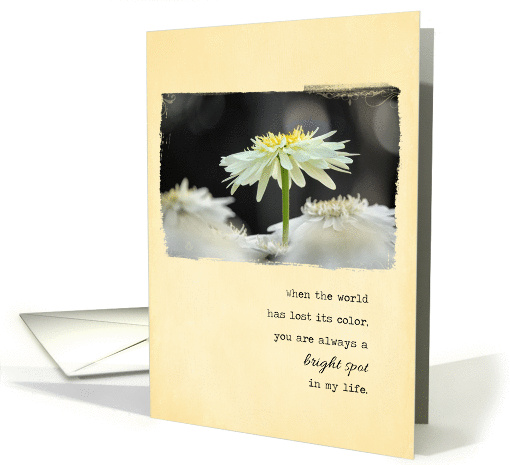 Friend: You're a Bright Spot in My Life card (1447702)