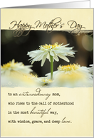 Mother’s Day Daisy for Mom card