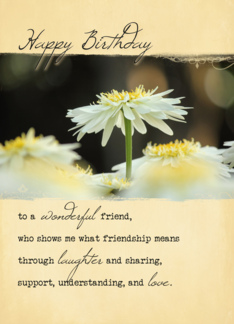 Friendship Birthday...
