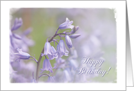 Happy Birthday Soft Floral card