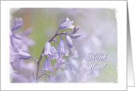 Thank You Soft Floral card