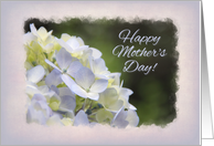 Hydrangea Mother’s Day for Mom card