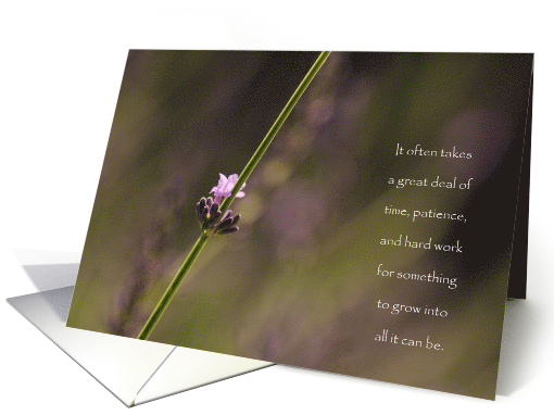 Blossoming Lavender - Congratulations Graduation card (1533832)