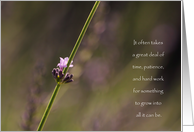 Blossoming Lavender - Congratulations Graduation card