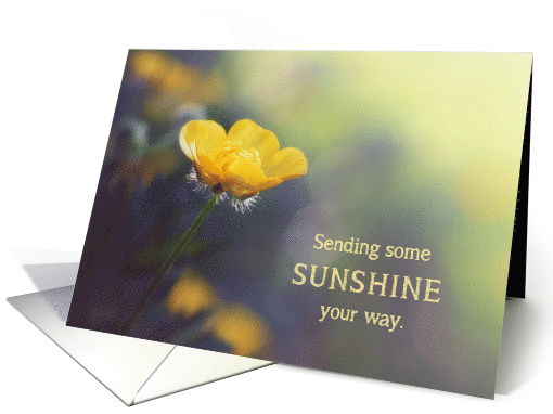 Buttercup - Sending Sunshine Your Way card (1534474)