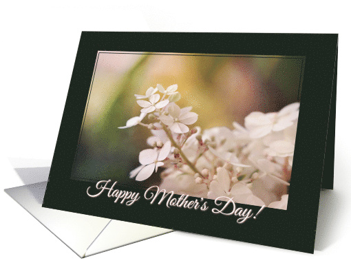Beautiful Hydrangea - Mother's Day card (1538754)