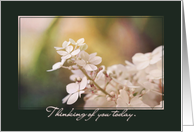 Beautiful Hydrangea - Thinking of You on Mother’s Day Loss of Child card