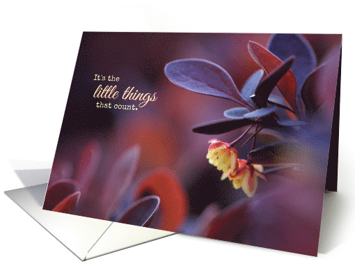 Little Yellow Flowers Friendship card (1567990)