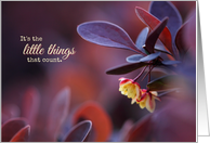 Little Yellow Flowers Friendship card