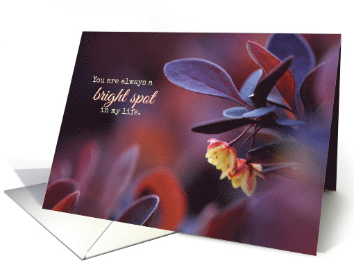 Little Yellow Flowers Here for You Encouragement card (1568012)