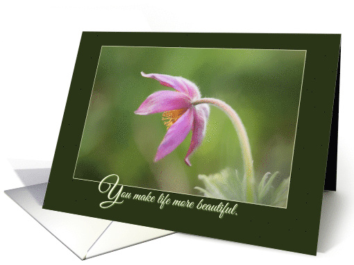 Thank You Classroom Volunteer Pink Anemone card (1569706)