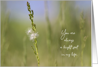 You’re a Bright Spot in My Life Blank Note card