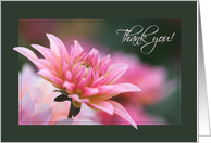 Pink Dahlia Hospital Volunteer Thank You card