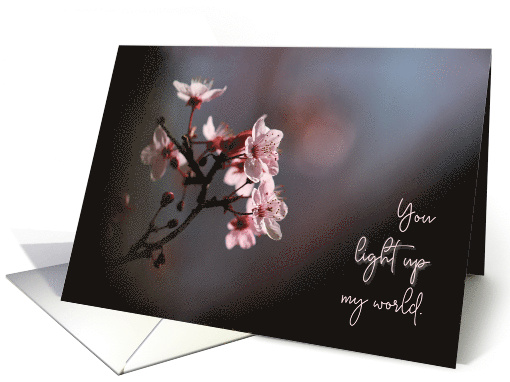 You Light Up My World Cherry Blossoms Valentine's Day card (1674418)