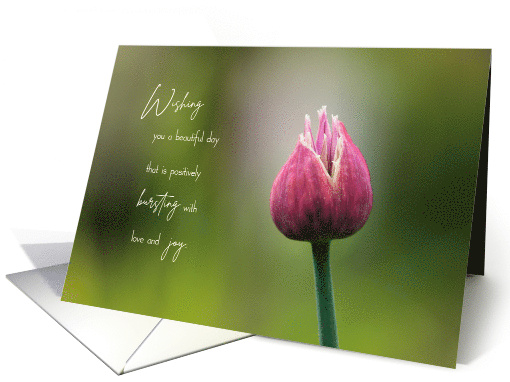 Beautiful Day Bursting with Joy Blank Note card (1674440)