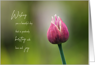 Beautiful Day Bursting with Joy Blank Note card