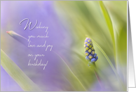 Wishes of Love and Joy Grape Hyacinth Birthday card
