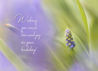 Wishes of Love and...