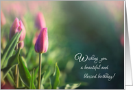 Pink Tulip Path Beautiful and Blessed Birthday card