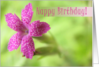 Cheery Flower Happy Birthday card